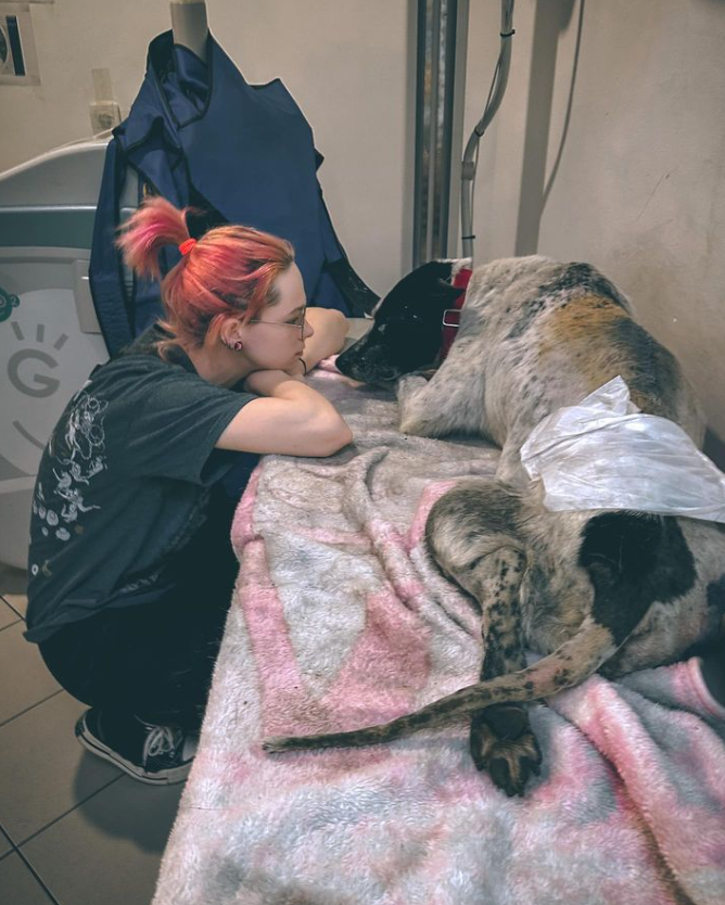 "Животные мне как дети". Где сейчас Анастасия Тихая, спасшая собак из Ирпеня в начале войны